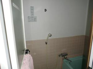 een badkamer met een douche en een bad met een wastafel bij Lodge Villa Happo in Hakuba