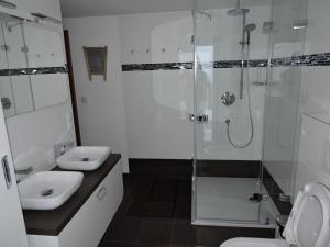 Vannituba majutusasutuses Glühwürmchenhütte