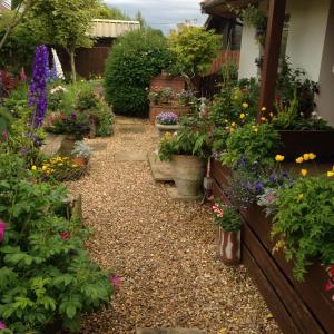 a garden path with flowers and plants in pots at Pinetree Lodge Druridge Bay in Amble