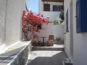 Fotografie z fotogalerie ubytování Armonia Pension v destinaci Ios