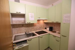 Virtuvė arba virtuvėlė apgyvendinimo įstaigoje Appartamenti Arnica