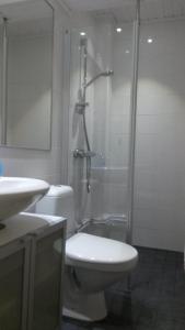 ein Bad mit einem WC, einer Dusche und einem Waschbecken in der Unterkunft Kyykerin Kartano in Outokumpu