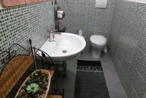 Koupelna v ubytování Casa Ivanka + 27 fotografií