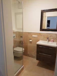 ein Badezimmer mit einem WC, einem Waschbecken und einem Spiegel in der Unterkunft Ferienwohnung ALPENRAUSCH in Kiefersfelden