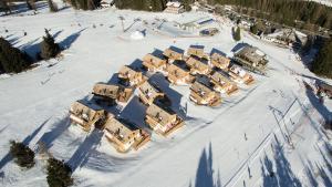 Chaletdorf-Fanningberg v zimě