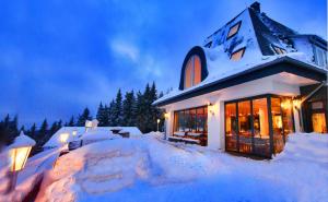ヴィンターベルクにあるBobhaus Winterbergの夜雪に覆われた家