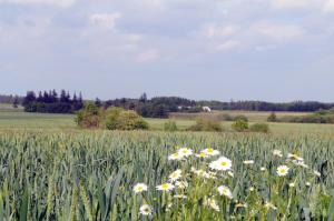 Paesaggio naturale nelle vicinanze dell'appartamento