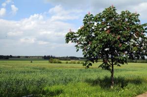 Paesaggio naturale nelle vicinanze dell'appartamento