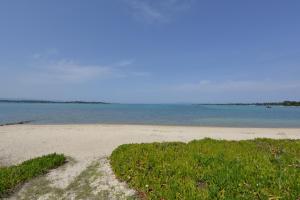 a sandy beach with grass and the water at Haus Katerina in Vourvourou