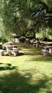 un grupo de mesas de picnic en un parque en Residencial Castelar en Merlo