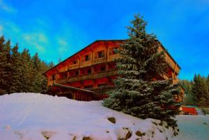 a building with a christmas tree in the snow at Chalet Hotel Le Collet in Xonrupt-Longemer