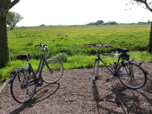 deux vélos garés sur une route en gravier à côté d'un champ dans l'établissement B&B en Vakantiehuisje Ursula, à Workum