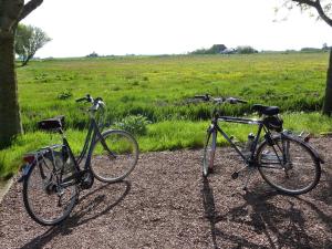 twee fietsen geparkeerd op een grindweg naast een veld bij B&B en Vakantiehuisje Ursula in Workum