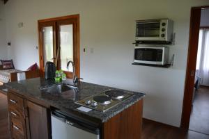 a kitchen with a counter and a sink and a microwave at Cabaña El Tigre in Tandil