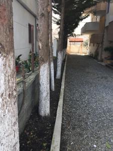 eine Reihe von Bäumen neben einem Gebäude in der Unterkunft Tafilaj Apartments in Durrës