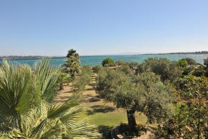 a garden with trees and the ocean in the background at Haus Katerina in Vourvourou