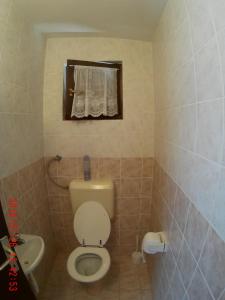 a bathroom with a toilet and a sink at Apartman Luburić in Pinezici