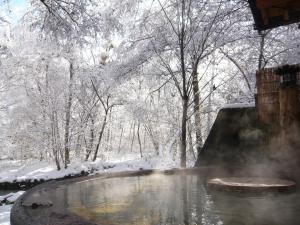 a hot tub in a snow covered forest with trees at Yamazatonoiori Soene in Takayama