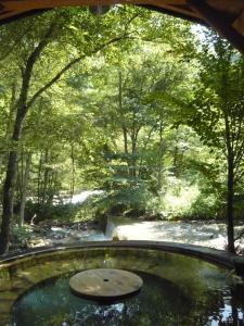 a view of a pond in a park with trees at Yamazatonoiori Soene in Takayama