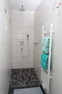 a bathroom with a shower with a glass door at Ferienhaus "Kleiner Onkel" in Honerath