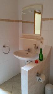 ein Bad mit einem Waschbecken und einem Spiegel in der Unterkunft Wald&Wiesengeflüster Zechlinerhütte in Rheinsberg