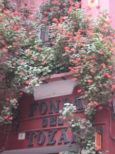 a bunch of flowers hanging from a building at Fonda Del Tozal in Teruel