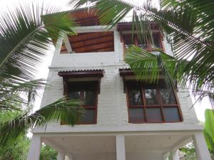a white building with windows and a palm tree at Villa Lanka Relax in Hikkaduwa