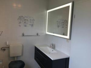 a bathroom with a sink and a mirror and a toilet at Apartments Achterblick in Ueckeritz +17 photos