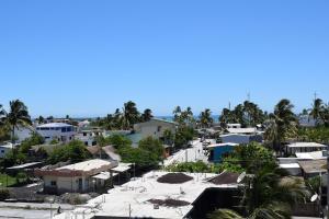 an aerial view of a town with houses and palm trees at Paraiso de Isabela in Puerto Villamil