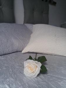 a white rose sitting on top of a bed at Casa Rural "La Molina" in Máguez