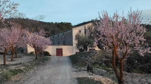 a dirt road with trees in front of a building at Casa Rural Masía Barbera in Ibi