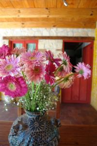 Fotografie z fotogalerie ubytování Hotel Posada Primavera v destinaci San Cristóbal de Las Casas