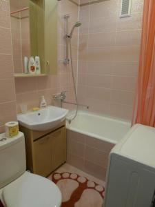 ノヴォシビルスクにあるApartments on Tsvetnoy proyezd 27のバスルーム(トイレ、洗面台、シャワー付)