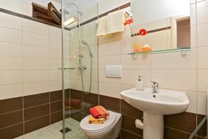 a bathroom with a sink and a toilet and a shower at Apartman Zlatka in Zečevo Rogozničko +18 photos
