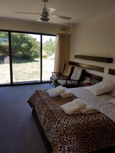 ein Schlafzimmer mit einem Leopardenbett und einer Couch in der Unterkunft Toora Lodge Motel in Toora