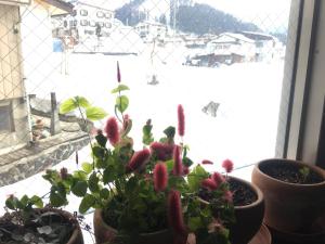 Paesaggio naturale nelle vicinanze dell'affittacamere