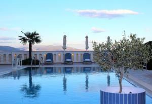 Πισίνα στο ή κοντά στο Amaryllis Hotel Apartments