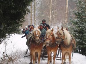 Afbeelding uit fotogalerij van Hotel Schwarzbeerschänke Pobershau in Pobershau