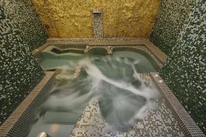 Imagem da galeria de Hotel Bertusi em Porretta Terme