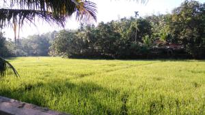 Κήπος έξω από το Villa Paddy Fields View