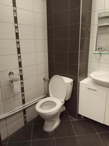 La salle de bains est pourvue de toilettes et d'un lavabo. dans l'établissement Denitsa Apartment, à Borovets