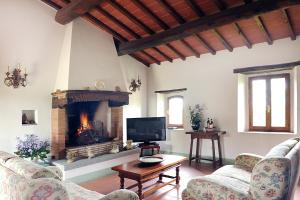 Bucine的住宿－Fattoria Casabianca，客厅设有壁炉和电视。