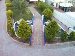 Сад в Karfas Bay View