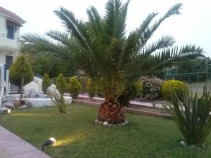 Сад в Karfas Bay View
