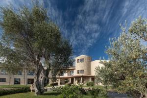 Gallery image of Terradimare Resort&Spa in San Teodoro