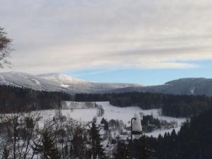 Príroda v okolí horskej chaty