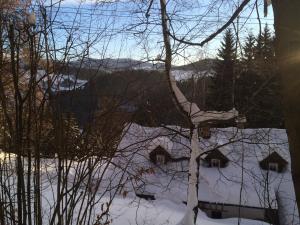 Príroda v okolí horskej chaty