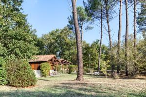 a cabin in the middle of a field with trees at Les Chalets du Gélat, nature et calme in Noaillan