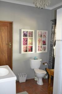 a bathroom with a toilet and two pictures on the wall at Rooiheuwel Cottage in Wellington