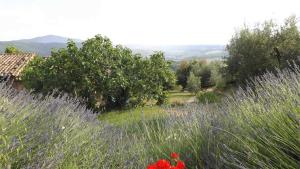 Gallery image of Casa Lorenzo in Panicale
